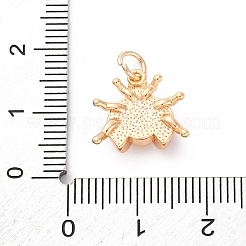Brass Enamel Pendants&nbsp;KK-D360-15G
