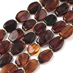 Natural Amber Beads Strands&nbsp;G-L095-C01-03