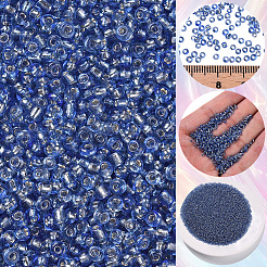 3000Pcs Glass Seed Beads&nbsp;SEED-PA0001-29A-02