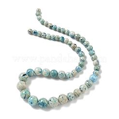 Natural Fossil Graduated Beads Strands&nbsp;G-F830-A03-01E