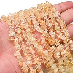 Natural Citrine Beads Strands&nbsp;G-P332-51