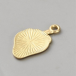 Zinc Alloy Pendants&nbsp;FIND-WH20026-052D
