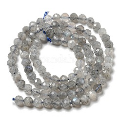 Faceted Round Natural Labradorite Bead Strands&nbsp;G-I156-03-4mm