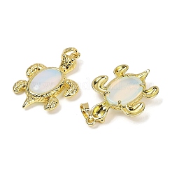 オパライトと真鍮のペンダント  ラックめっき  カドミウムフリー＆鉛フリー  ウミガメの形  38x27.5x7mm  穴：8x5mm&nbsp;KK-F887-01G-03