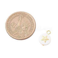 3Pcs 3 Styles Natural Freshwater Shell Flat Round Charms&nbsp;PALLOY-JF04018-02