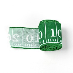 Polyester Ribbons&nbsp;LS-OCOR-TAC0009-18A