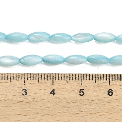 天然淡水シェルビーズ連売り  米のビーズ  染め  空色  7~8x3.5~4mm  穴：0.5mm  約47~49個/連  14.37~14.88インチ（36.5~37.8cm）&nbsp;SHEL-C010-01C