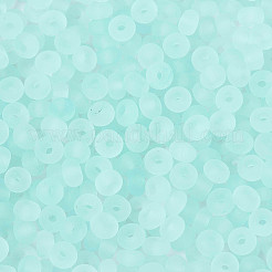 Transparent Frosted Colours Glass Seed Beads&nbsp;SEED-T007-12G