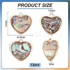 真鍮パヴェパウアシェルハートチャーム12個  ライトゴールド  14x14.5x3mm  穴：1.5mm&nbsp;FIND-BC0013-84B