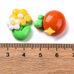 Cartoon Opaque Resin Decoden Cabochons&nbsp;CRES-M038-12