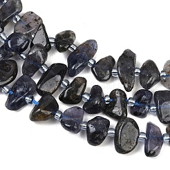 Natural Iolite Beads Strands&nbsp;G-L657-E04-01