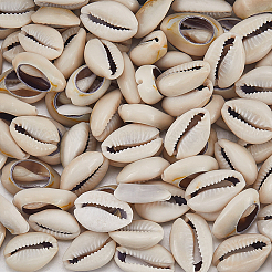 100Pcs Natural Cowrie Shell Beads&nbsp;BSHE-LT0001-08