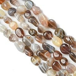 Natural Botswana Agate Nuggets Beads Strands&nbsp;G-L154-03
