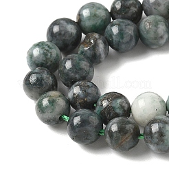 Natural Dioptase Beads Strands&nbsp;G-D302-02-6mm