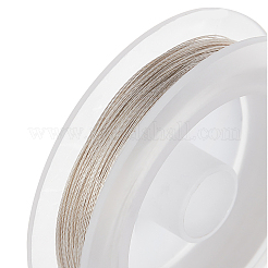 3連売り銅クラフトワイヤー  長持ちメッキ  ツイストラウンド  銀  0.3mm  約80m /ロール&nbsp;CWIR-BC0008-0.3mm-S