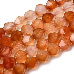 Natural Red Agate Beads Strands&nbsp;G-Z119-A02-02