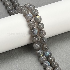 Natural Labradorite Beads Strands&nbsp;G-G448-8mm-04A