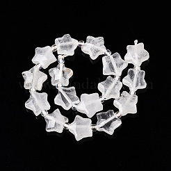 Natural Quartz Crystal Beads Strands&nbsp;G-T138-186