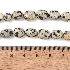 Natural Dalmatian Jasper Beads Strands&nbsp;G-C286-A09