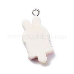 Cartoon Opaque Resin Imitation Food Pendants&nbsp;RESI-C043-03A-P
