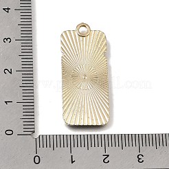 エナメルペンダントと合金  搭乗券チャーム  ライトゴールド  ブラック  33x14x1mm  穴：2.5mm&nbsp;AL-CBA91FD-01F