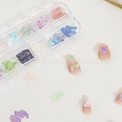 1 Set 12 Colors Shell Slices&nbsp;MRMJ-SP0001-05B