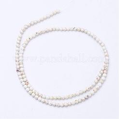 Natural Magnesite Bead Strands&nbsp;G-P286-10-3mm