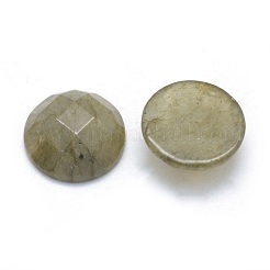 Natural Labradorite Cabochons&nbsp;G-P393-P06-14.5mm