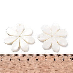 Natural Freshwater Shell Pendants&nbsp;SHEL-D082-08A