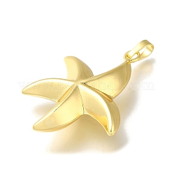 Rack Plating Brass Pendants&nbsp;KK-K373-12G