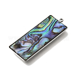 304 Stainless Steel Pave Natural Paua Shell Pendants&nbsp;STAS-Z125-01A-P
