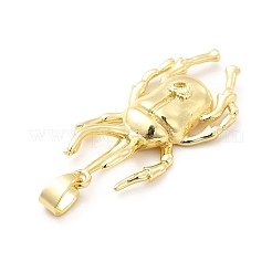 Rack Plating Brass Pendants&nbsp;KK-E067-01G