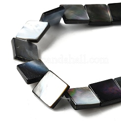 Natural Black Lip Shell Beads Strands&nbsp;BSHE-D300-07-12mm