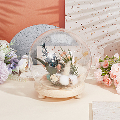 Glass Dome Cover&nbsp;AJEW-WH0401-76B