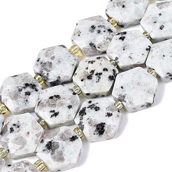 Natural Sesame Jasper Beads Strands&nbsp;G-N368-01A-19