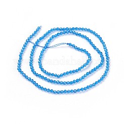 Transparent Glass Beads Strands&nbsp;GLAA-F094-A02