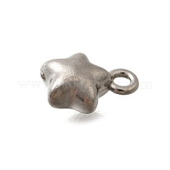 304 Stainless Steel Charms&nbsp;STAS-D310-06P-05