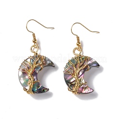 Natural Paua Shell Crescent Moon Dangle Earrings&nbsp;EJEW-G307-01G