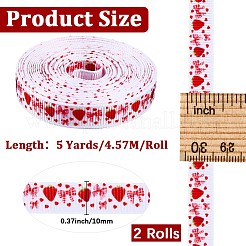 Polyester Ribbon&nbsp;OCOR-WH20061-002