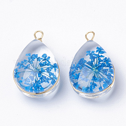 ガラスチャーム  中にドライフラワーあり＆真鍮パーツ  ティアドロップ  ゴールドカラー  ミックスカラー  22~24x13x8mm  穴：2mm&nbsp;GLAA-Q070-005