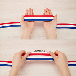 4.7 Yards Flat Nylon Striped Elastic Band&nbsp;OCOR-GF0003-84C