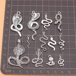 12Pcs Tibetan Style Alloy Pendants&nbsp;PW-WGE54F8-01