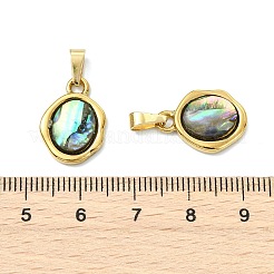 Natural Paua Shell Pendants&nbsp;PALLOY-JF05608