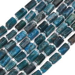 天然石アパタイトビーズ連売り  多面カット  コラム  シードビーズで  12x8mm  穴：1mm  約15個/連  7.68~7.87''（19.5~20センチメートル）&nbsp;G-H352-A01-02