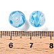 Handmade Lampwork Beads&nbsp;LAMP-T023-03B-04-3
