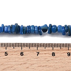 Natural Freshwater Shell Beads&nbsp;SHEL-B003-01M
