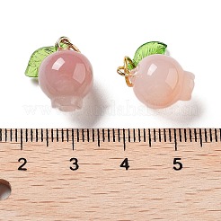 Natural Agate Fruit Charms with Leaf&nbsp;G-Z052-03A