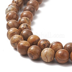 Natural Picture Jasper Round Bead Strands&nbsp;G-G-P070-55-8mm