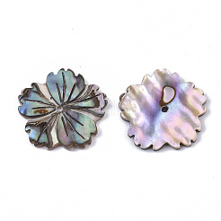Natural Paua Shell/Abalone Shell Beads&nbsp;SSHEL-R046-02