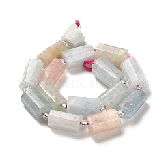 Natural Morganite Beads Strands&nbsp;G-N327-06-03